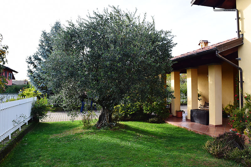 Manutenzione Giardini Biella-3 Manutenzione Giardini Biella-3